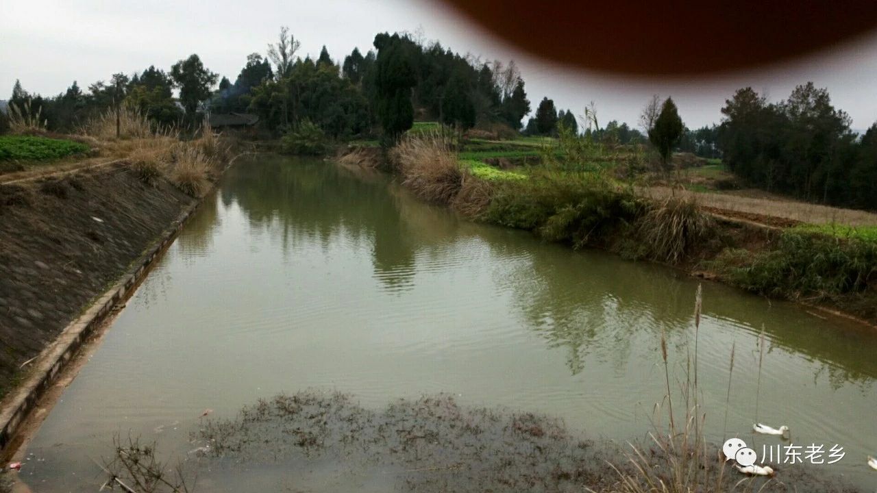 20190218_1348414_1550421560153.jpg