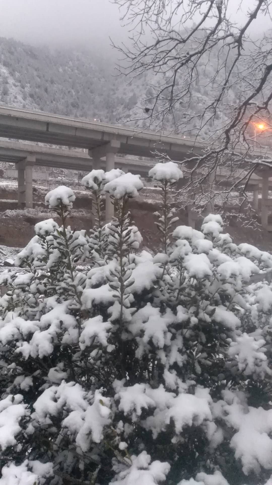微信图片_20190218201626.jpg