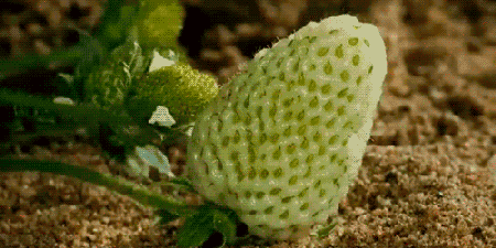 微信图片_20190221130048.gif