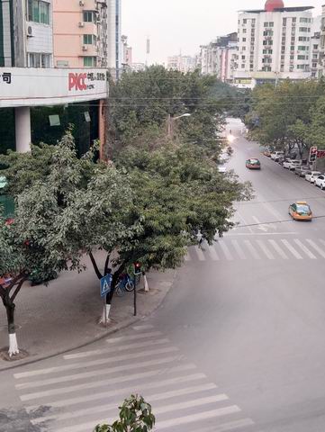 ������С �½��ļ��� (3)IMG_20190215_172631.jpg