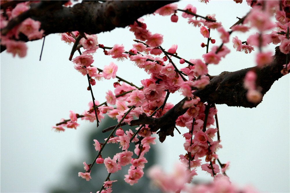 IMG_4130_副本.jpg