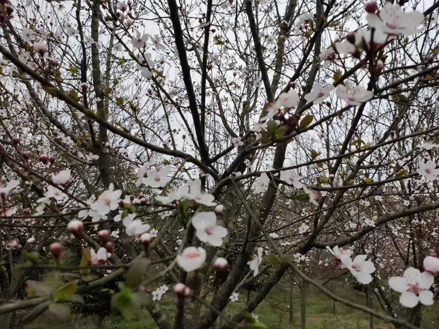 ΢ͼƬ_20190228090938.jpg