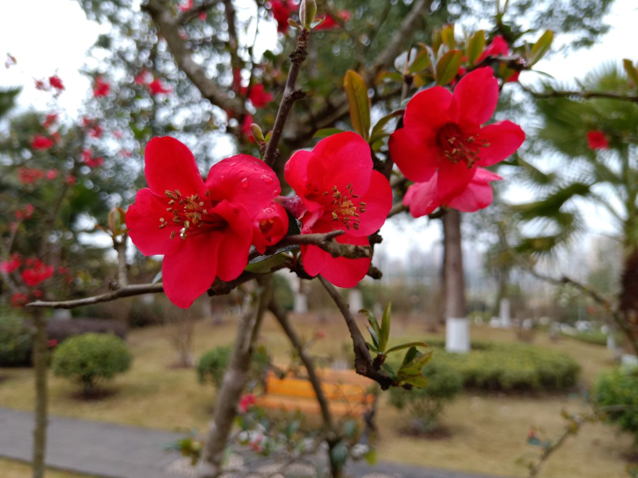 20190302_7461717_1551527210759.jpg