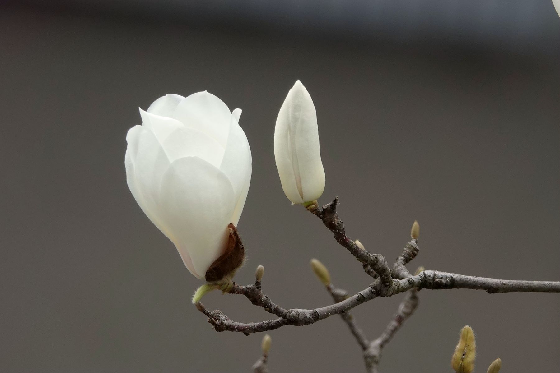 DSC08096_副本.jpg