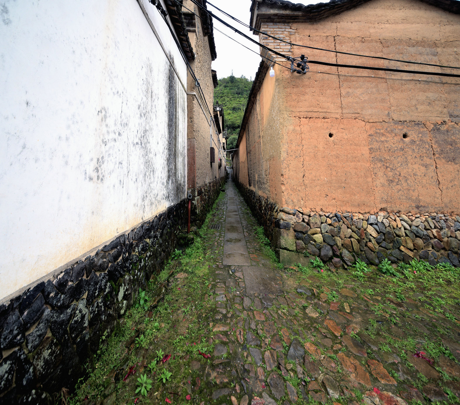 GLN_8478.JPG