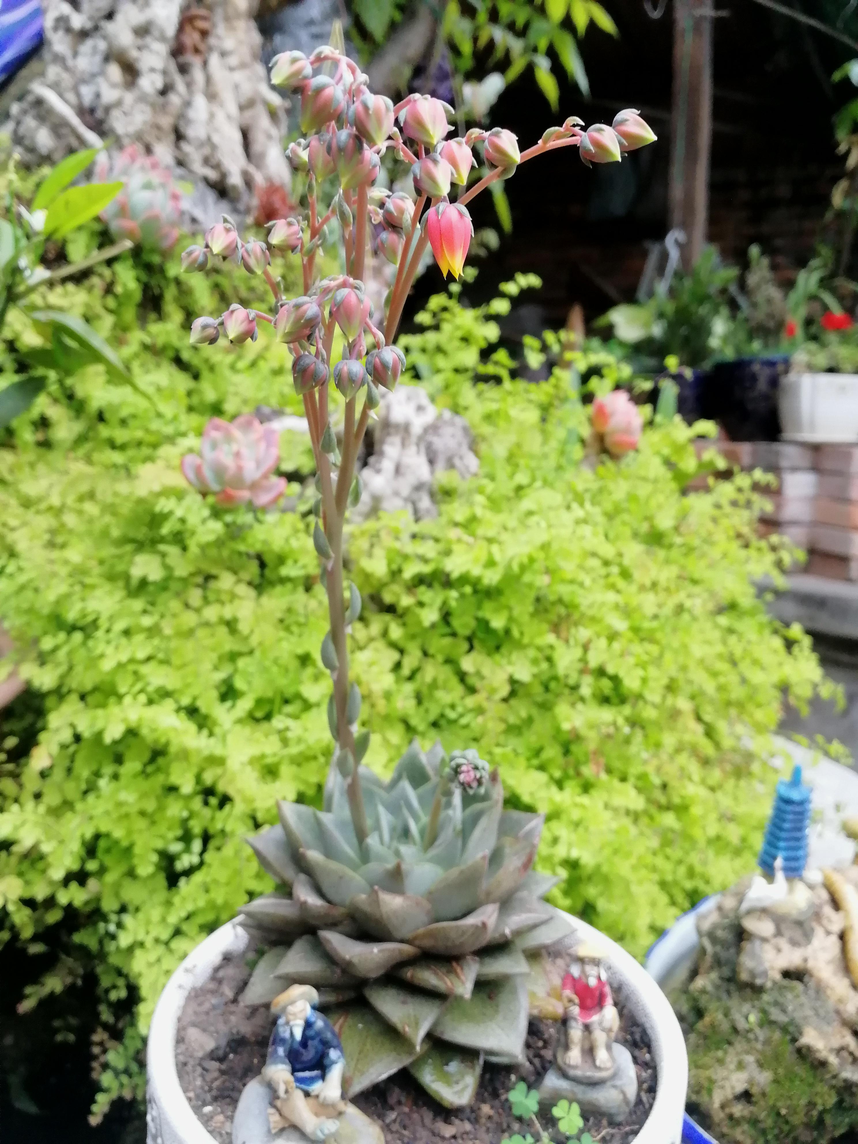 IMG_20190306_094416.jpg