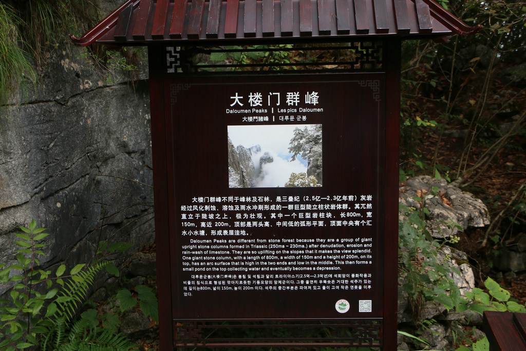 IMG_1573.JPG