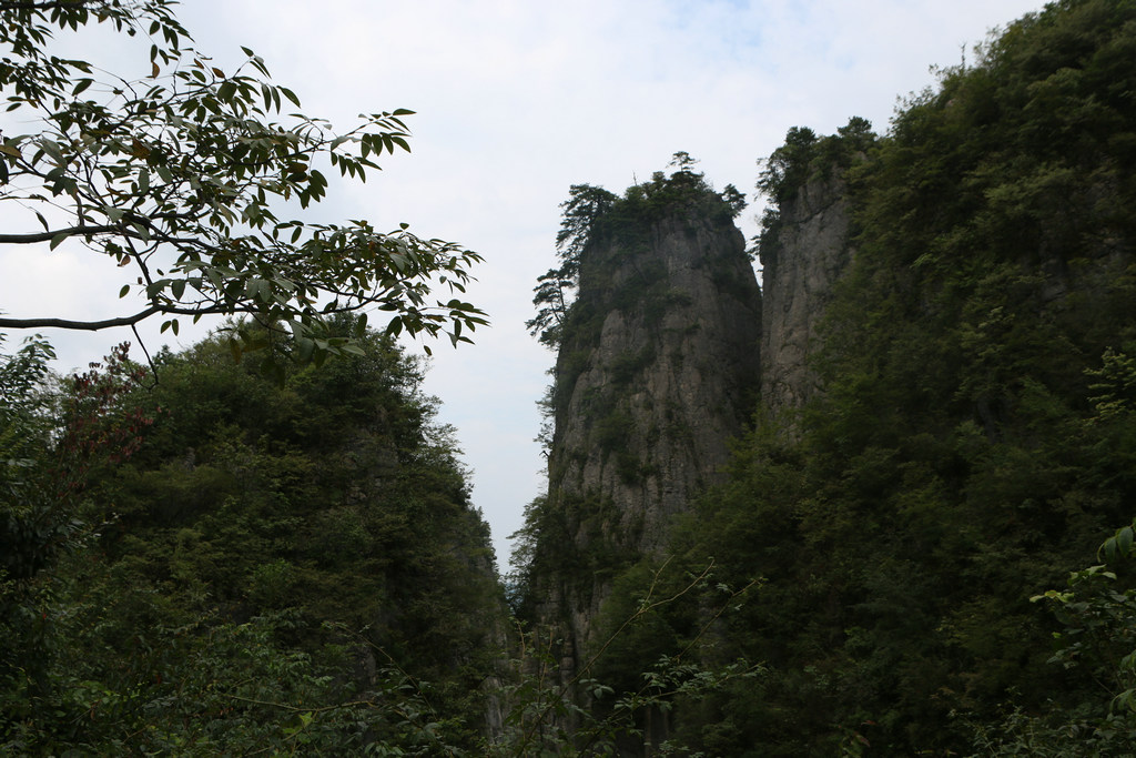 IMG_1595.JPG