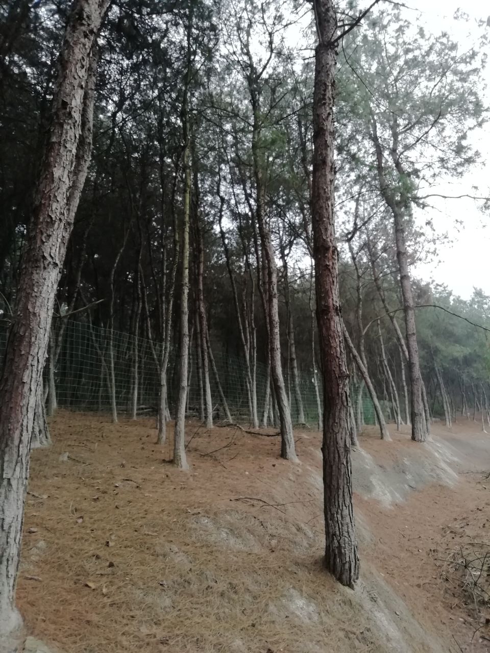20190306_6602488_1551866110124.jpg
