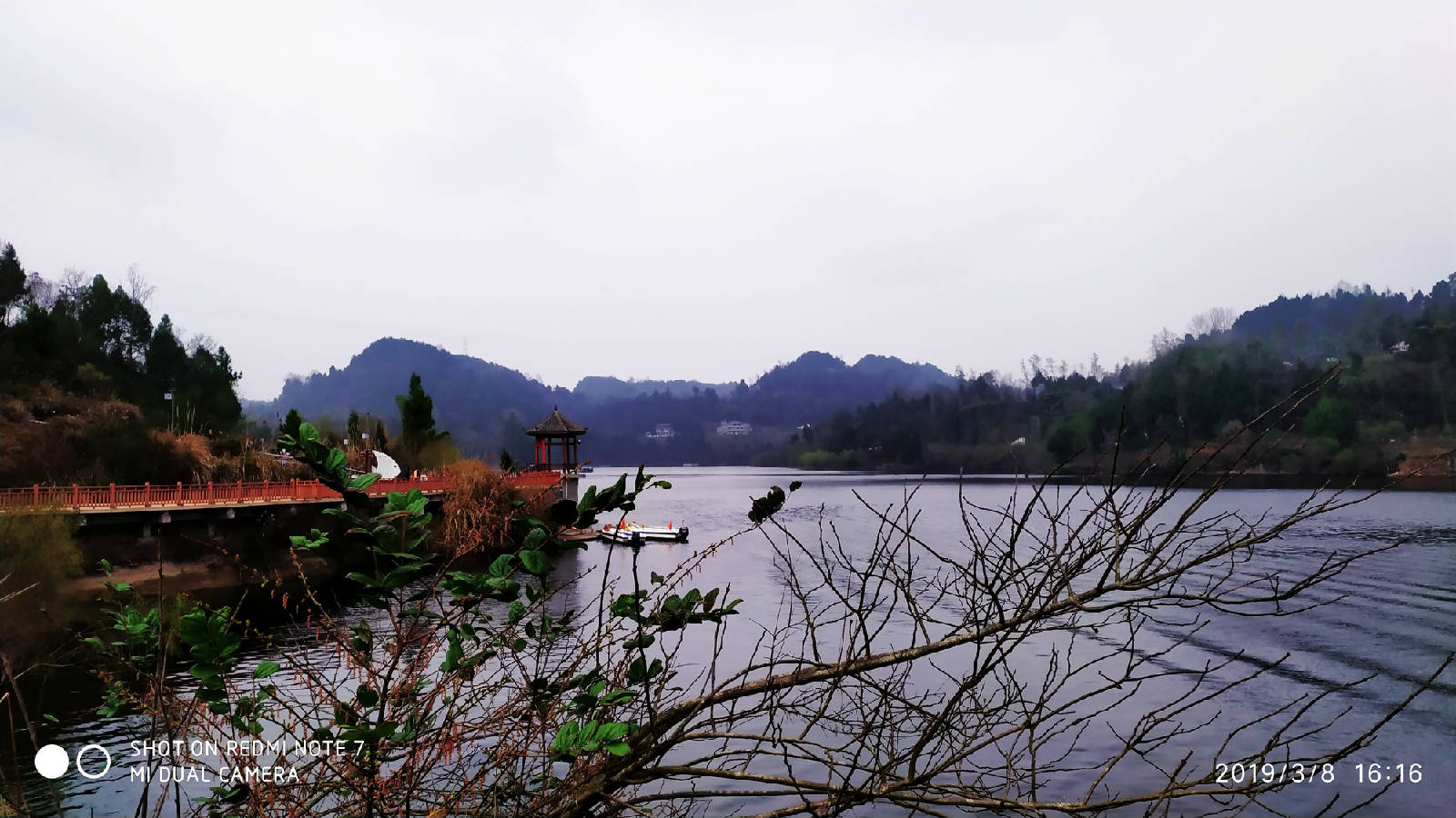 IMG_20190308_161637.jpg