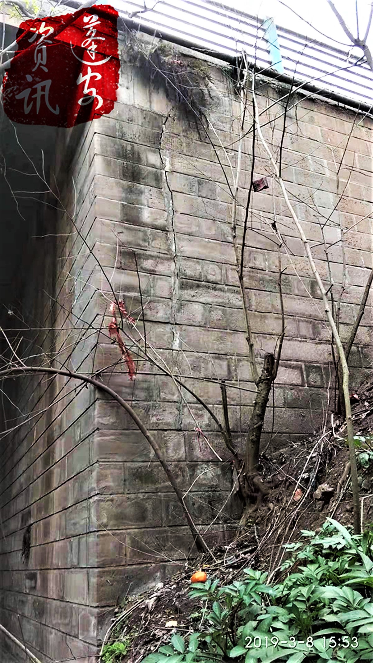 ΢ͼƬ_20190309001857.jpg