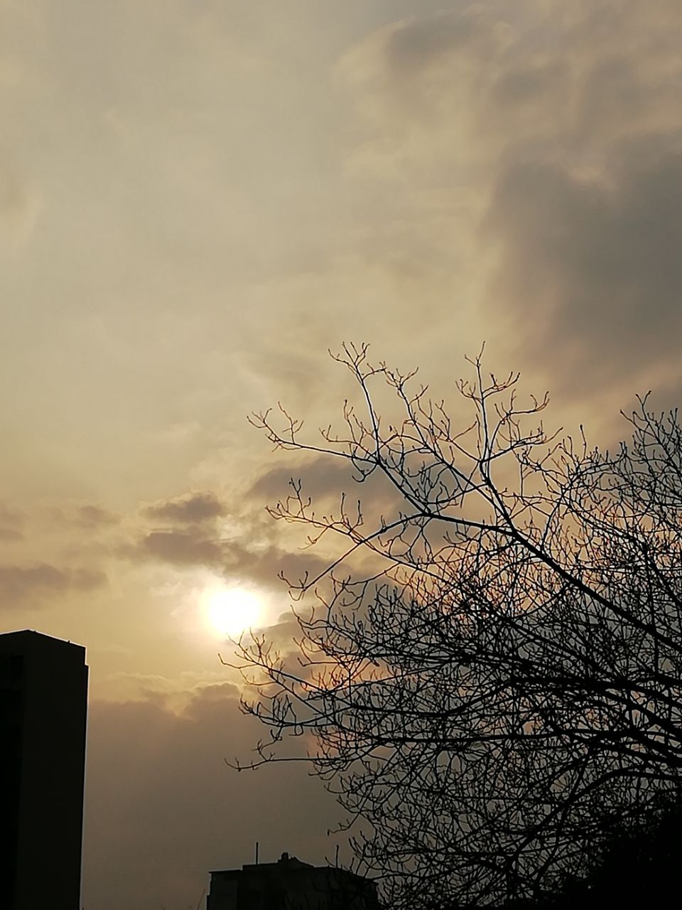 20190309_6602488_1552125313966.jpg