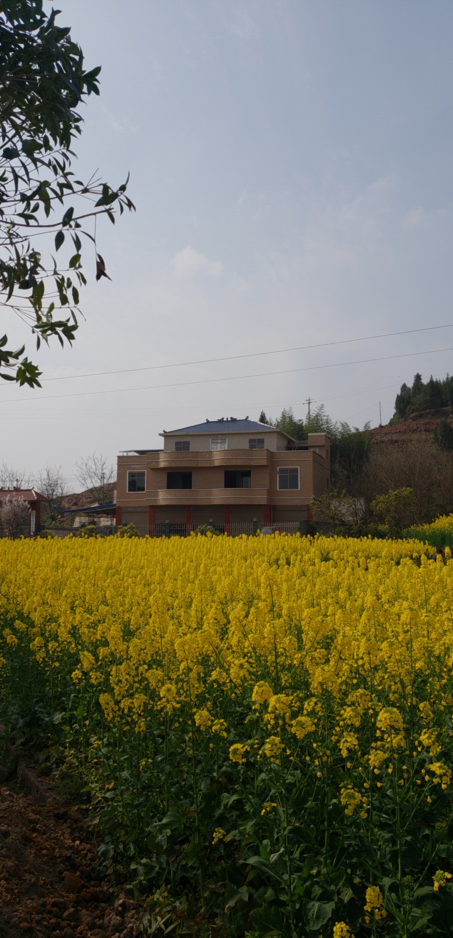 微信图片_20190310163418.jpg