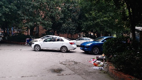 20190312_114502.jpg