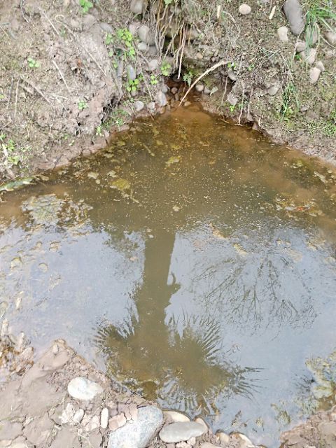 20190313_7583245_1552480371140.jpg