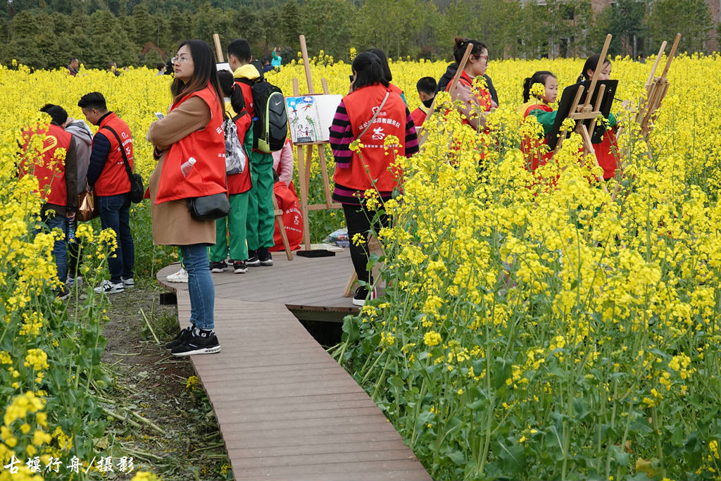 柳街七里诗乡赏花