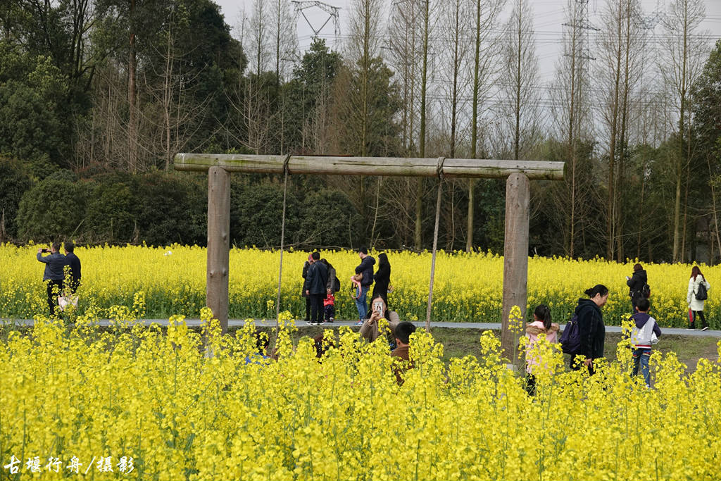 柳街七里诗乡赏花