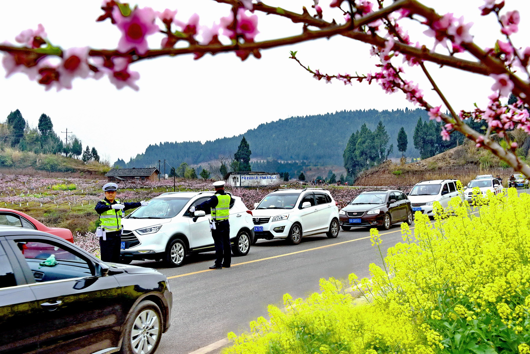 《桃花树下执勤忙》_8599.JPG