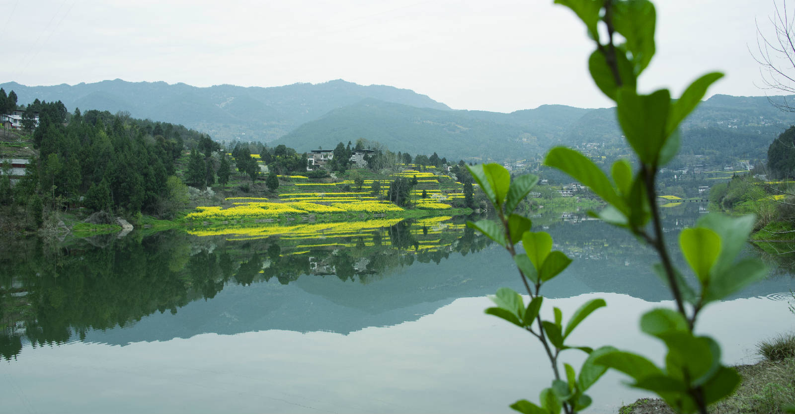 春景照片和介绍图片