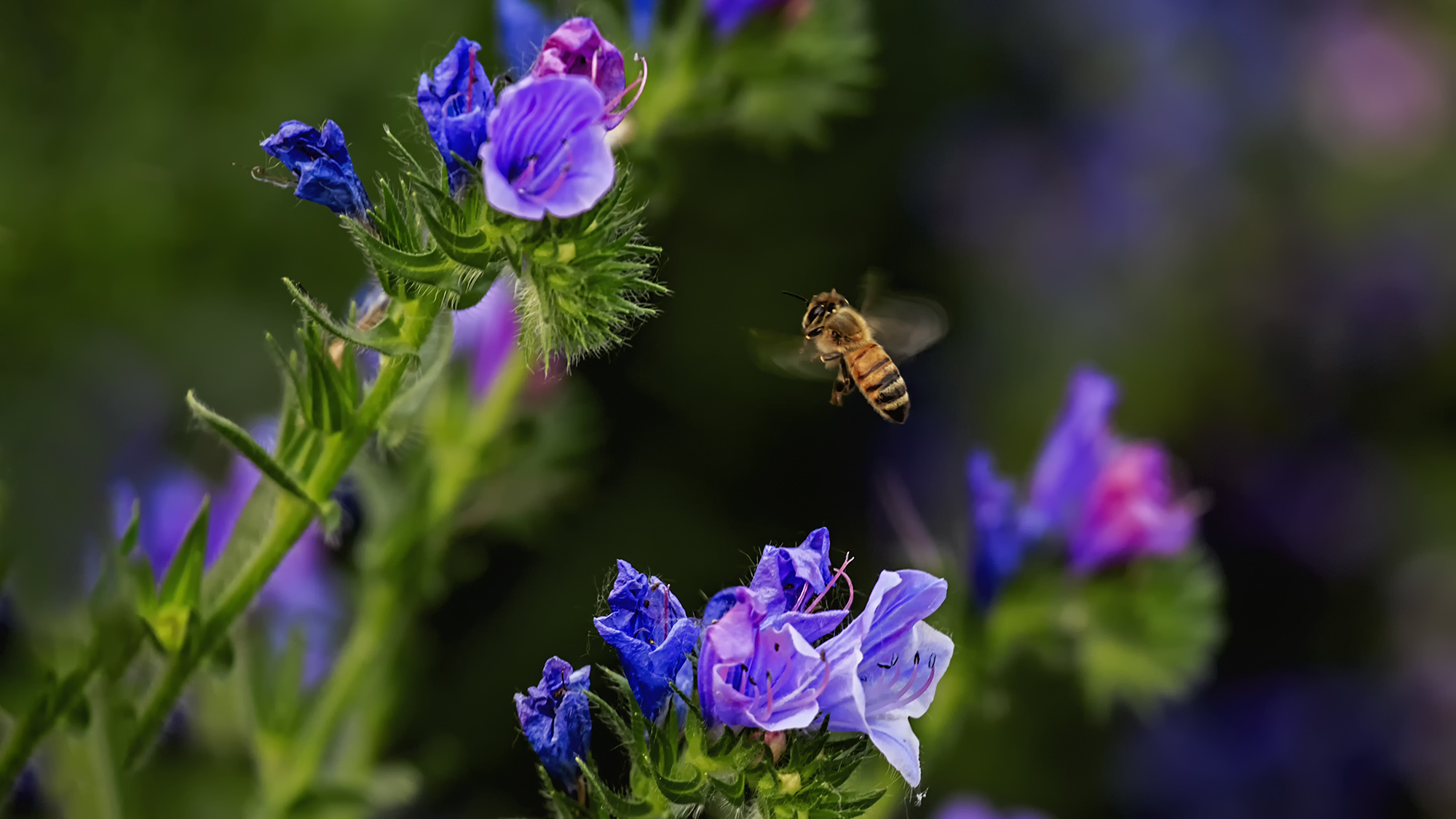 _P2A6583a.jpg