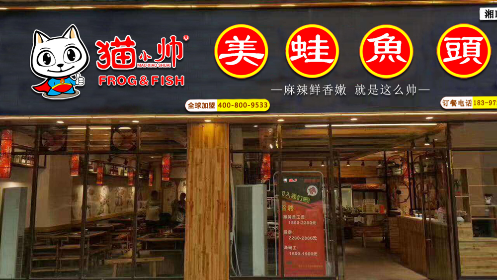 自从吃了这猫小帅美蛙鱼头之后,腰不酸腿不痛,一口气上五楼也不是事了