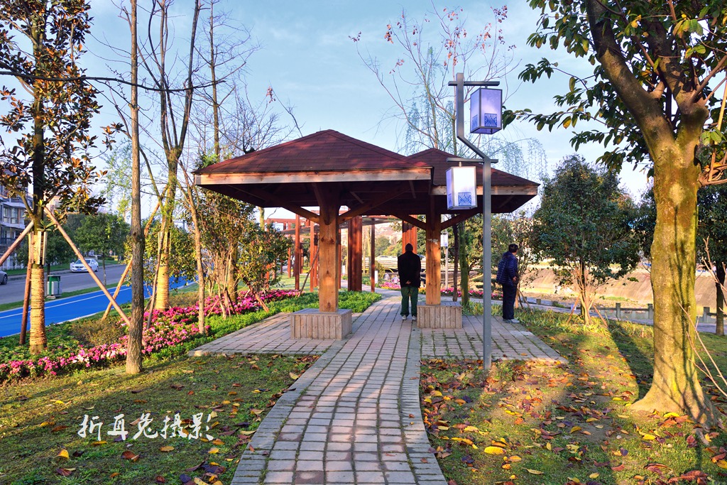 200224q1hzsgsd45155lp3.jpg