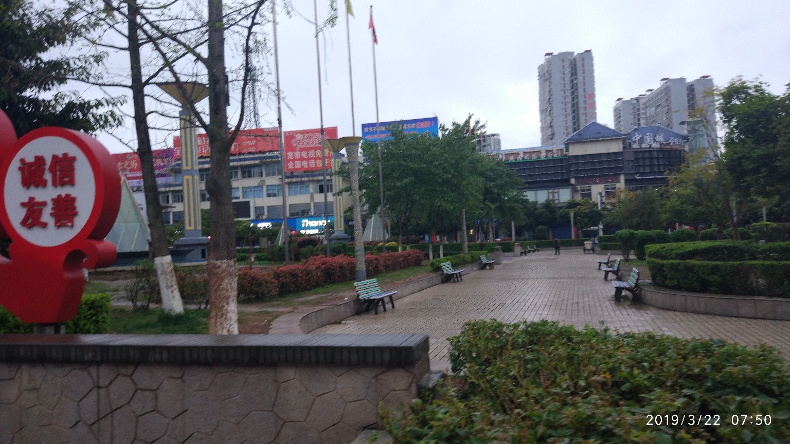 IMG_20190322_075042.jpg