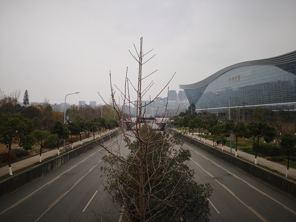 IMG_20190208_150509.jpg