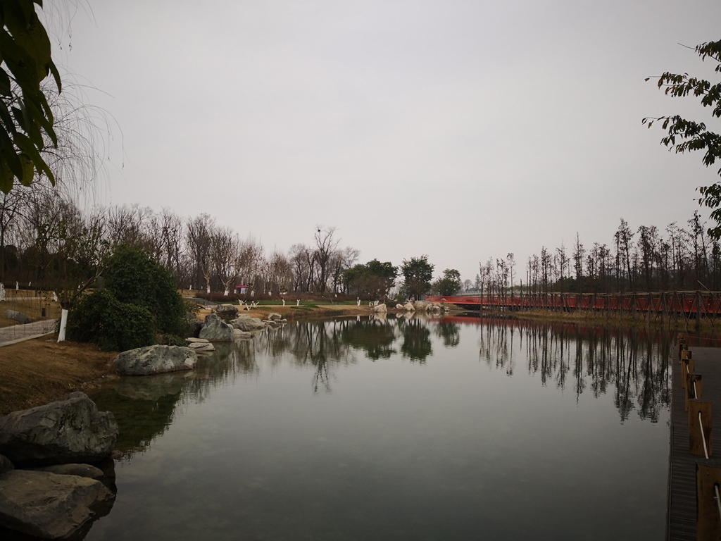 IMG_20190208_151215.jpg