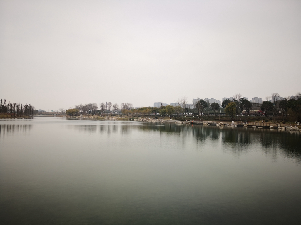 IMG_20190208_151735.jpg