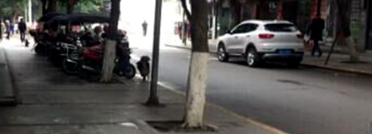 QQ图片20190325100917_副本.jpg