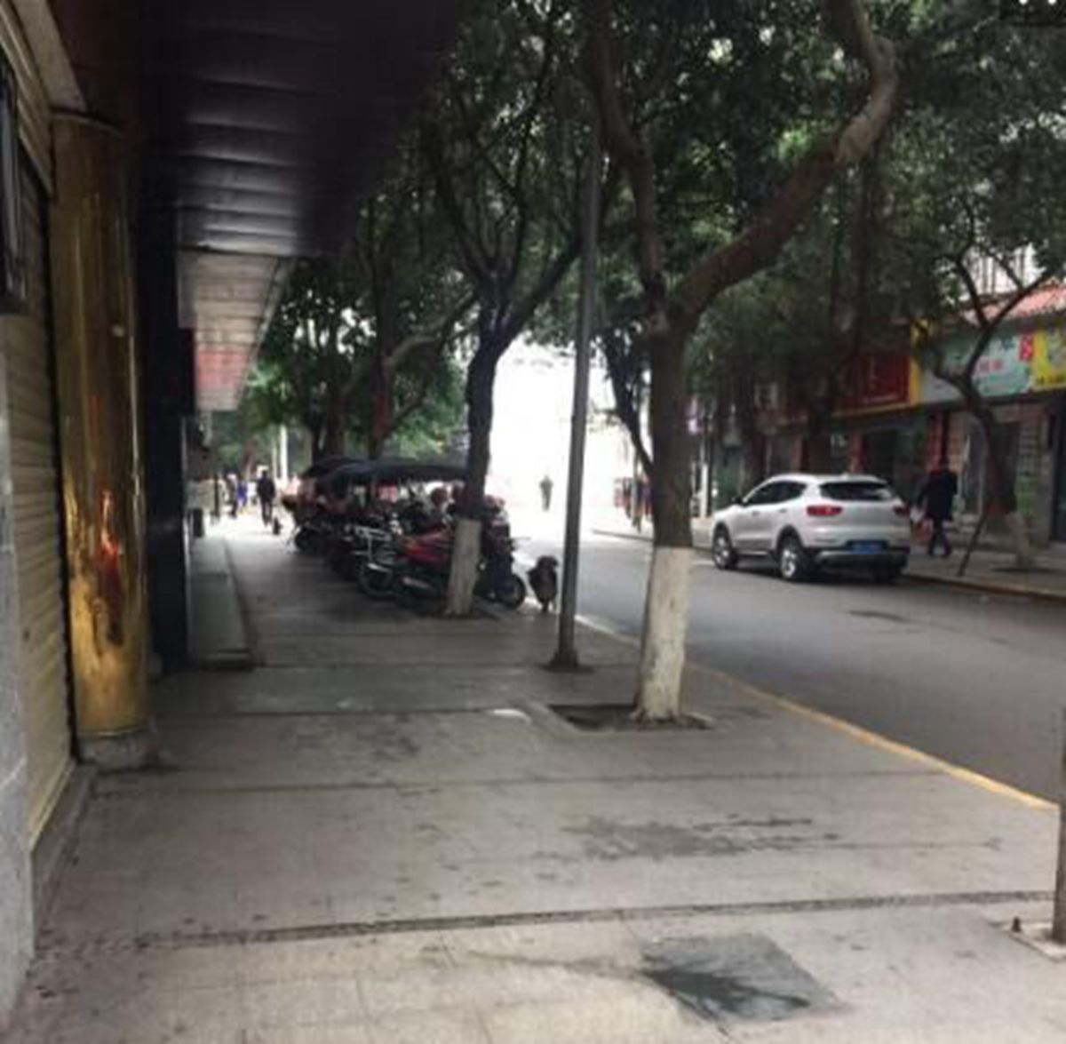 QQ图片20190325100917_副本2.jpg