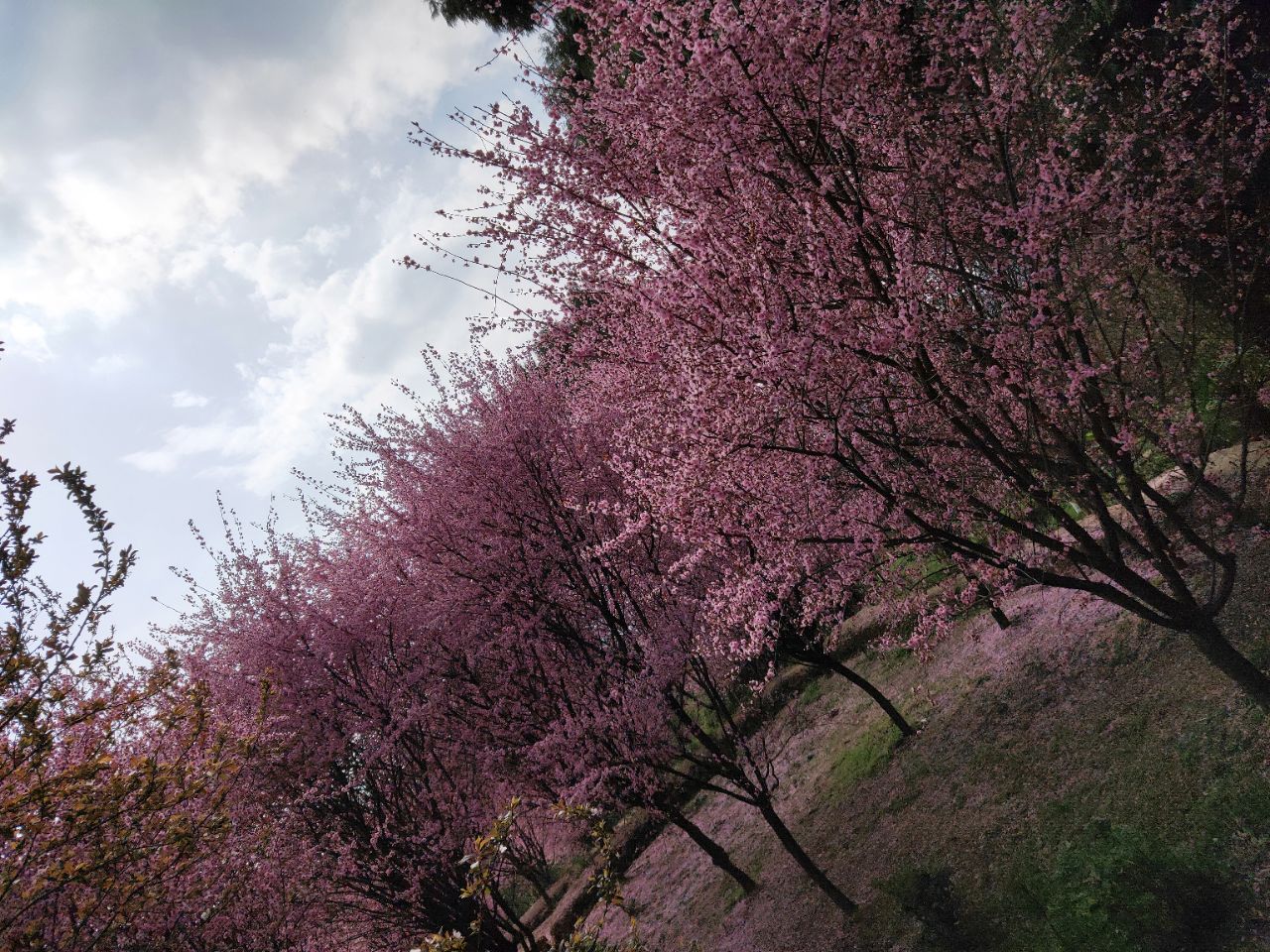 20190326_7587095_1553584288021.jpg