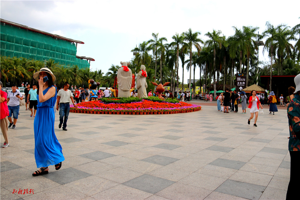 171322tmff558b8fwpymwn.jpg