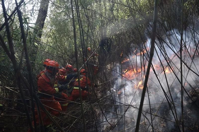 威聚焦丨四川木里森林火灾已扑灭 50秒回顾火