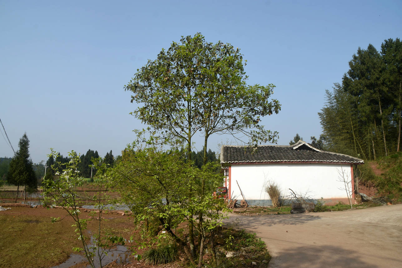 DSC_2480.jpg