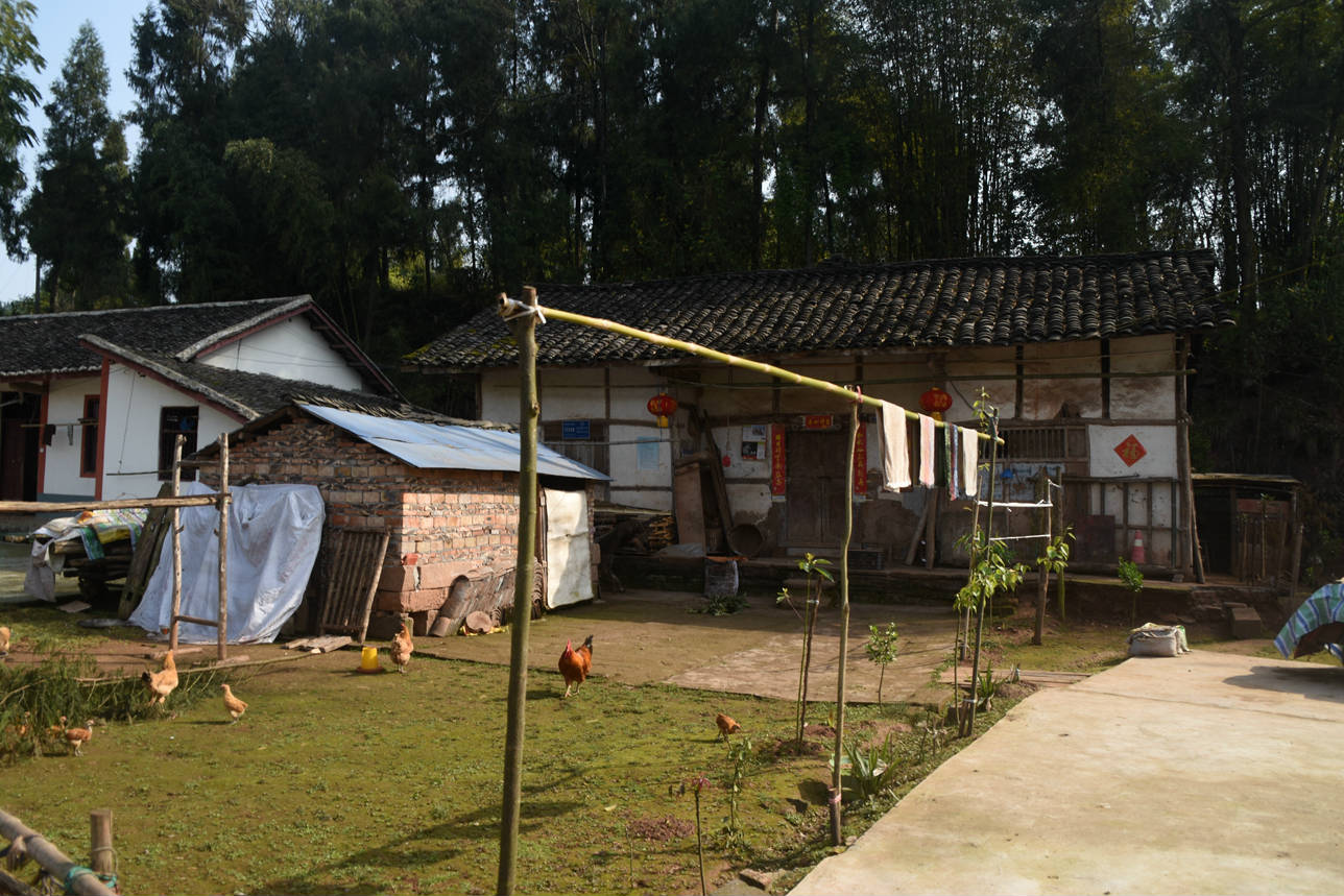 DSC_2503.jpg