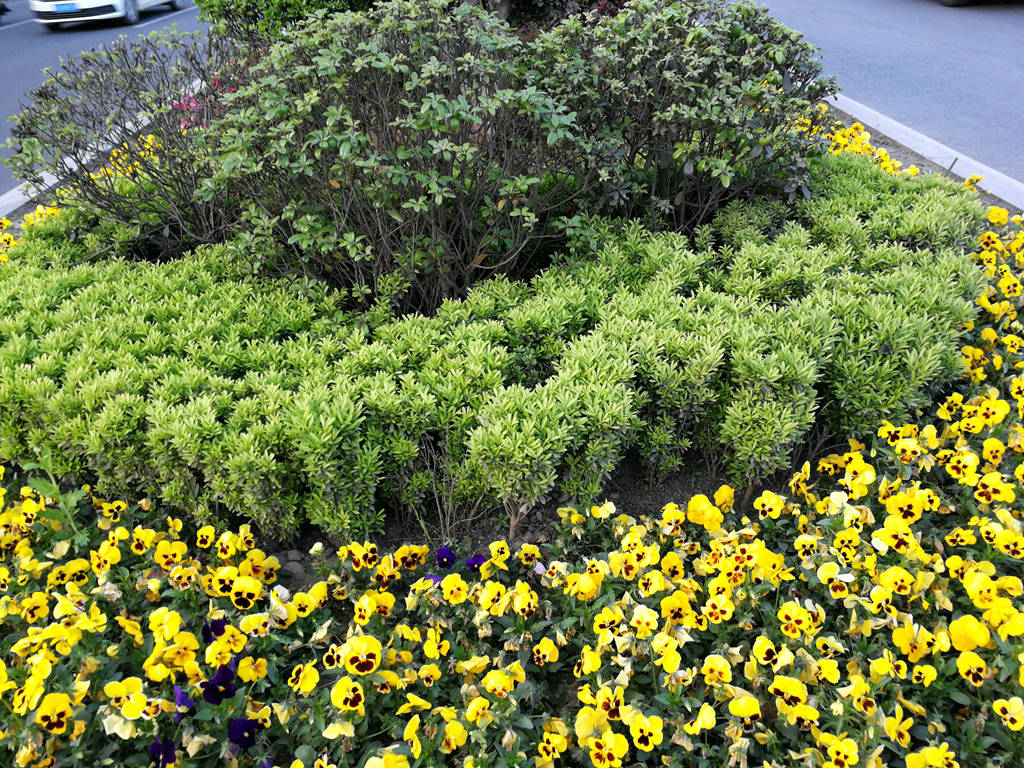 IMG_20190328_184606_副本.jpg