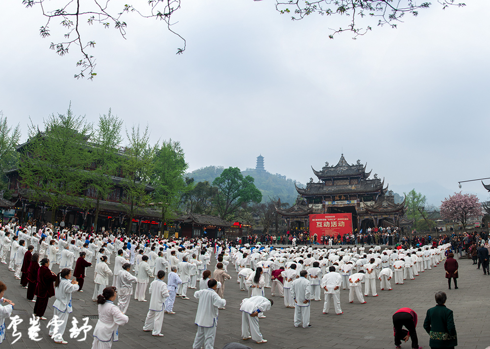 未标题_全景