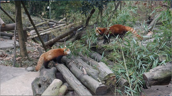 image015.jpg