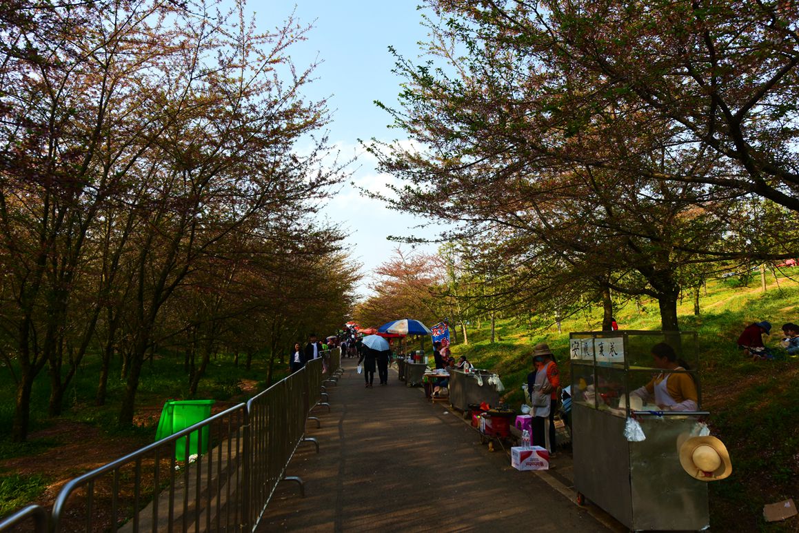 DSC_9621.JPG