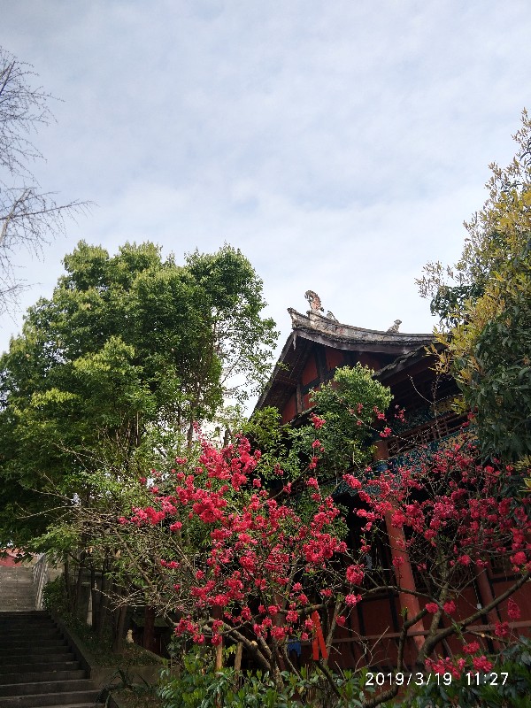 IMG_20190319_112707_HDR.jpg