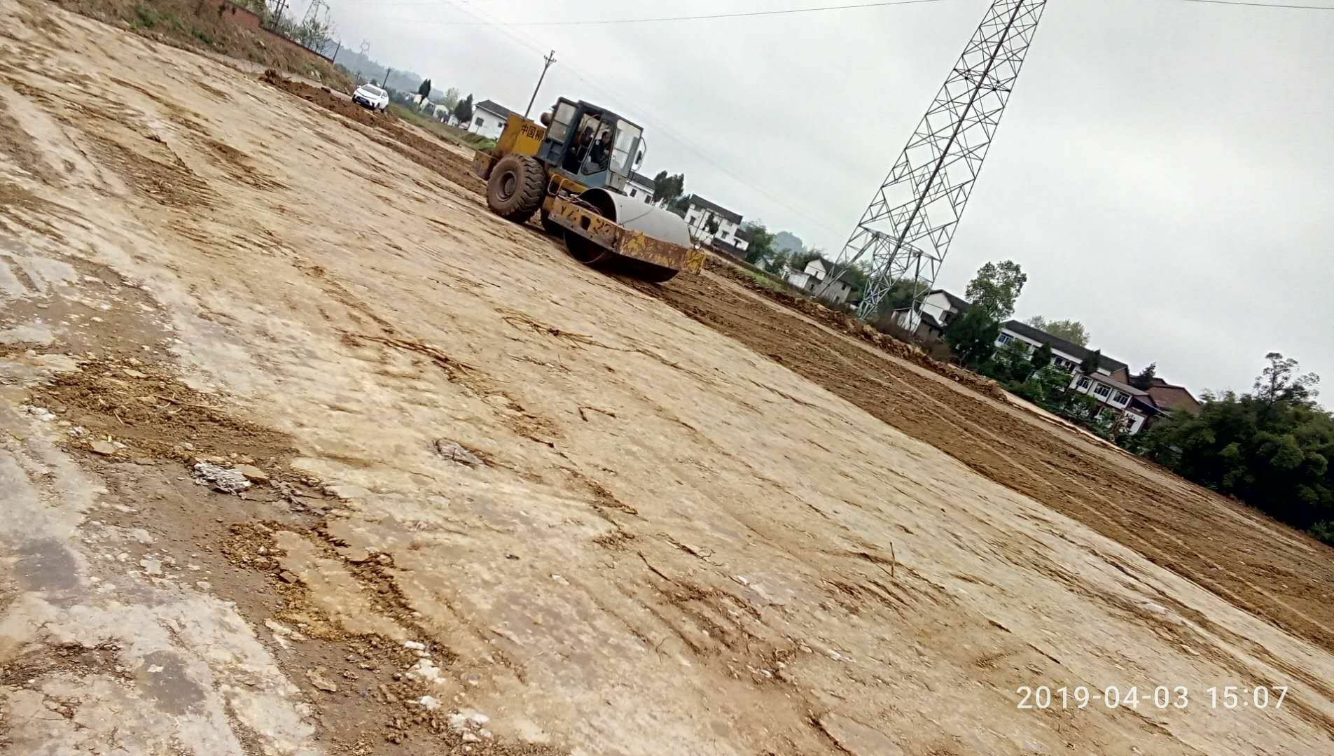 mmexport1554304382863.jpg