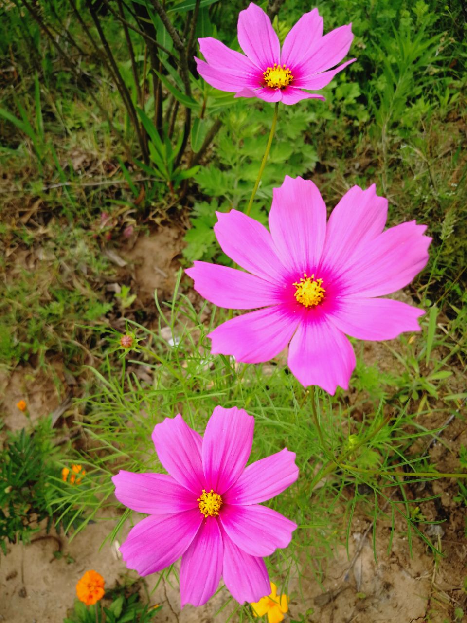20190408_6080161_1554710553825.jpg