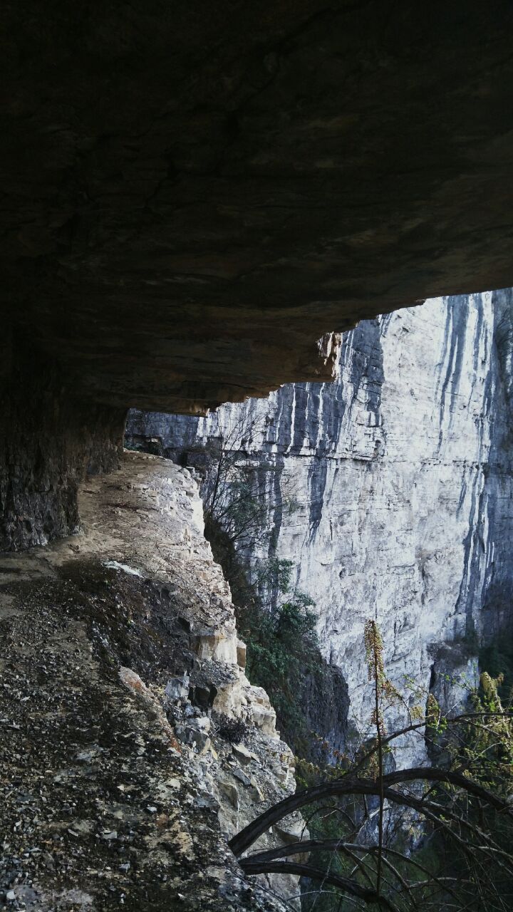 20190408_1357741_1554736740859.jpg
