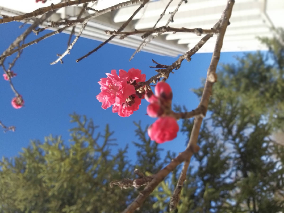 20190410_155014.jpg