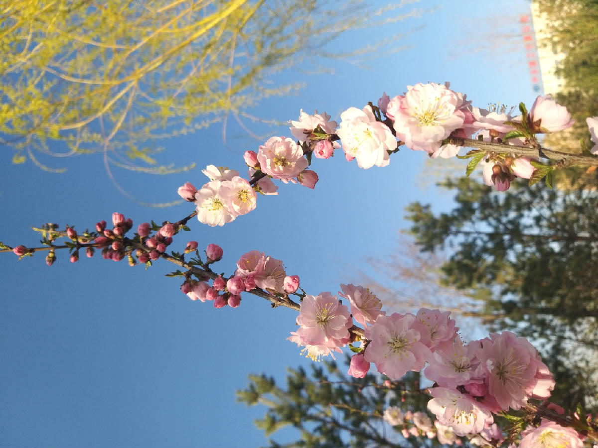 20190410_182325.jpg
