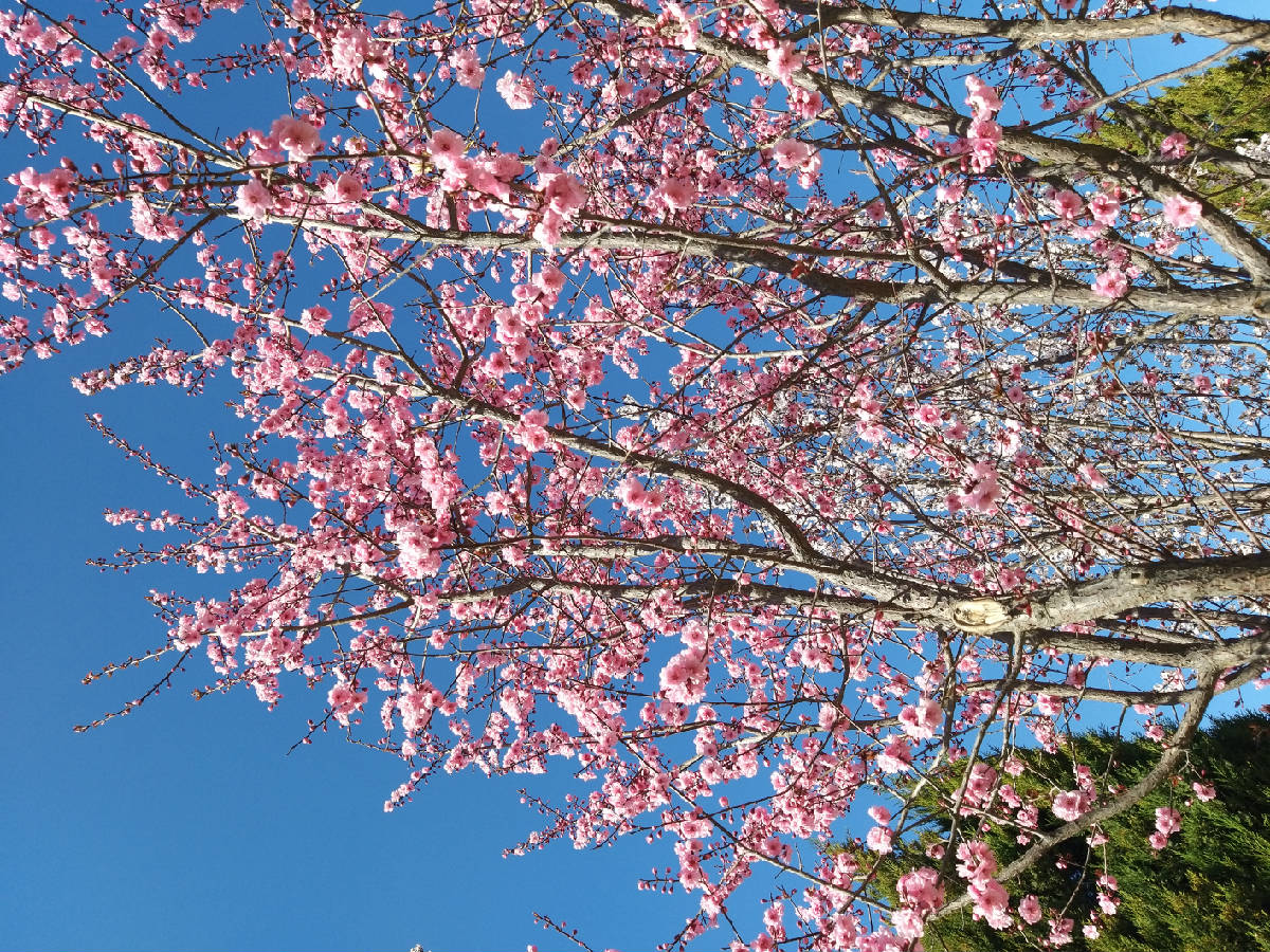 20190410_160814.jpg