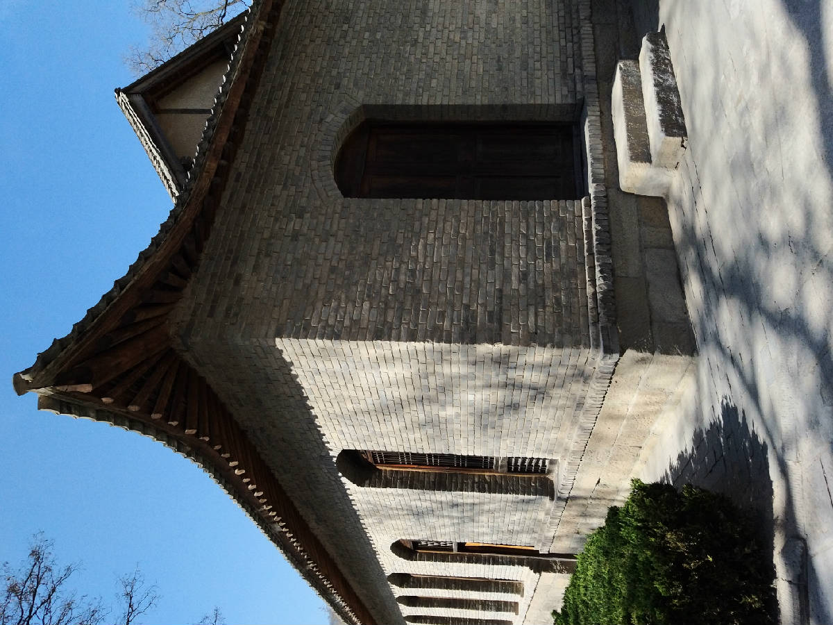 20190405_102913.jpg