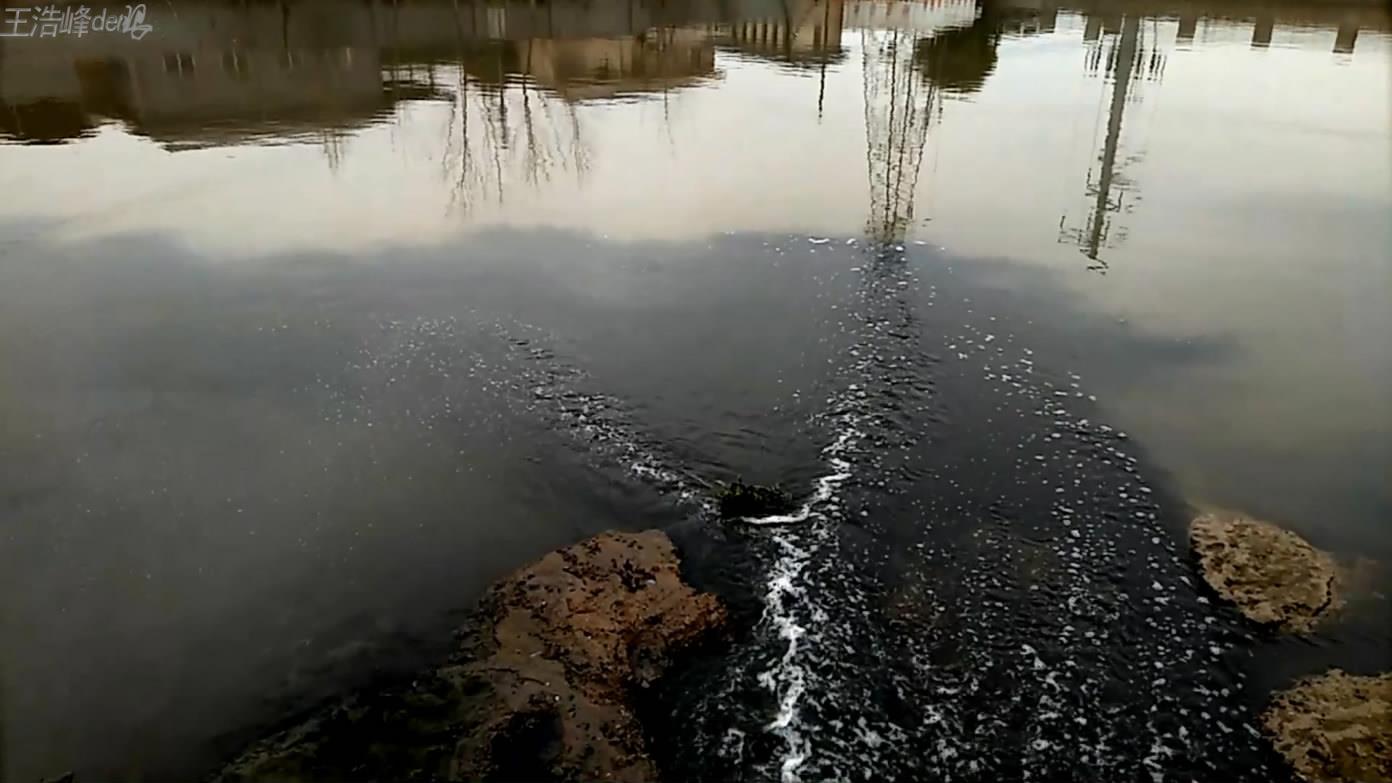 ˮ1[00_00_08][20190331-132217-1].JPG